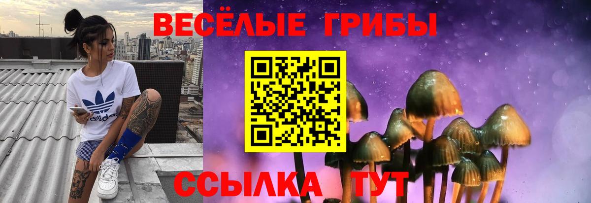 Ставрополь  Галлюциногенные грибы Cubensis  Вход с VPN 